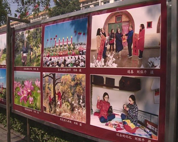 救援花栗鼠